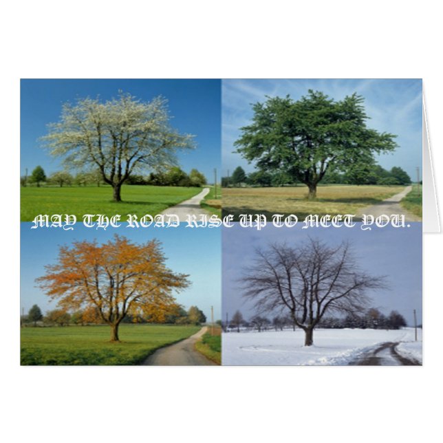 5月道は会うために上がります (正面横)