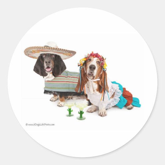 5月 ラウンドシール (正面)