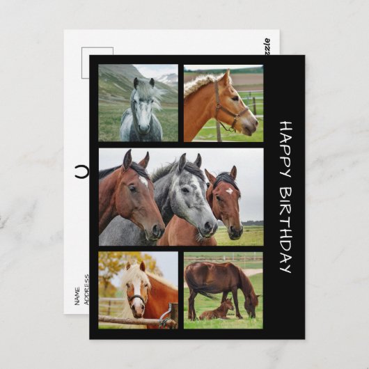 5枚の馬写真コラージュの誕生日はがき ポストカード (正面/裏面)