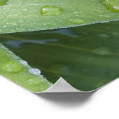 5癒し – 72神の名前 ポスター (角)