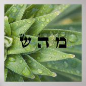 5癒し – 72神の名前 ポスター (正面)