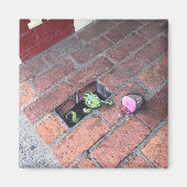 5秒ルール磁石 マグネット (正面)