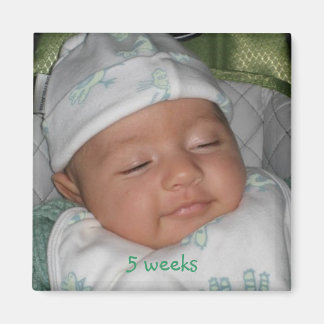 5週間、5週間 マグネット