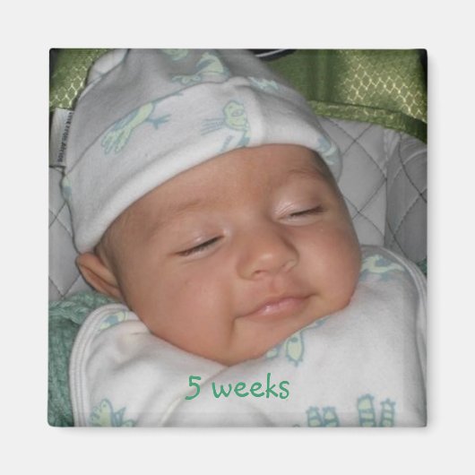 5週間、5週間 マグネット (正面)