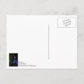 5階建てSdcツリーナイト ポストカード (裏面)