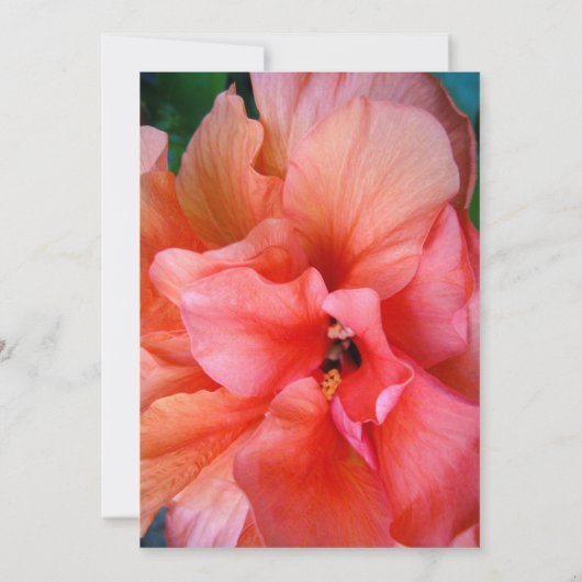 50と素晴らしい熱帯の花の写真誕生日 招待状 (裏面)