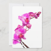 50と素晴らしい誕生日ピンクモダンフローラ 招待状 (裏面)