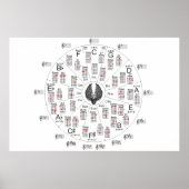 50の円 ポスター (正面)