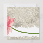 50バースデーパーティ招待状 招待状 (正面)