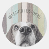 50世紀と素晴らしい誕生日 ラウンドシール (正面)