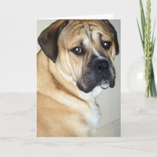 50位だが、それでも一番の犬 カード (正面)