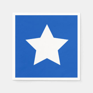 50参政権モダンシンボルカクテルナプキン スタンダードカクテルナプキン