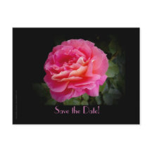 50周年記念パーティーピンクローズを保存