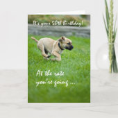50番目の誕生日おもしろい犬カード カード (正面)