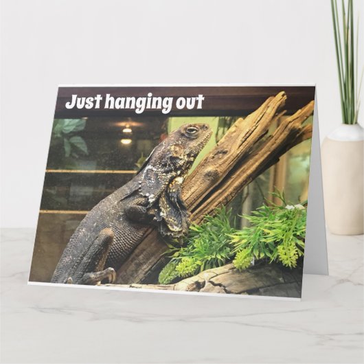 「50番目の誕生日」を「古い兄弟姉妹」に カード (正面)