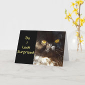 **50番目の誕生日・ユーモア**は期待していません！ カード (黄色い花)