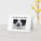 50番誕生日 カード (黄色い花)