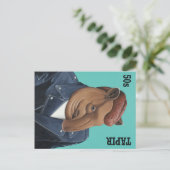 50秒タピール ポストカード (スタンド正面)