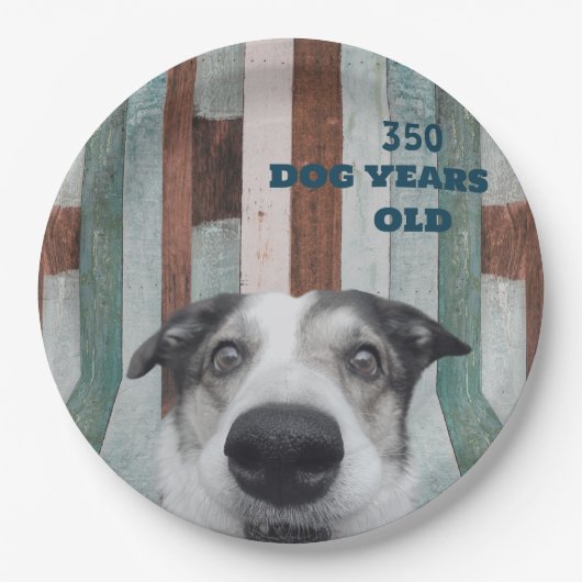50誕生日ドッグストライプのクローズアップ紙プレート ペーパープレート (正面)