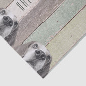 50誕生日半世紀素晴らしい 薄葉紙 (詳細)