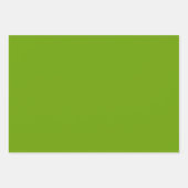 50誕生日緑と白の乱数パターン ラッピングペーパーシート (正面3)