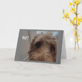 *50誕生日*ショックを受けた犬がハッピーバースダと言う カード (黄色い花)