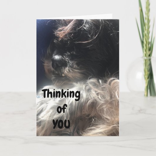 「50誕生日」考えは、私がいつも好きなのよ! カード (正面)