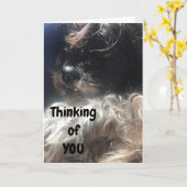 「50誕生日」考えは、私がいつも好きなのよ! カード (黄色い花)