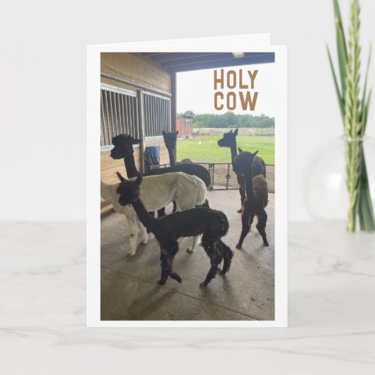 「50誕生日???ITカード信じができない カード (正面)