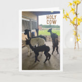 「50誕生日???ITカード信じができない カード (黄色い花)