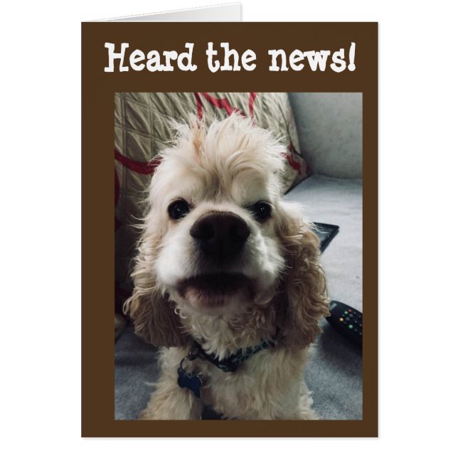 **50誕生日** POUPからのユーモア (正面)