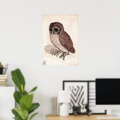 500歳のスケッチ ポスター (ホームオフィス)