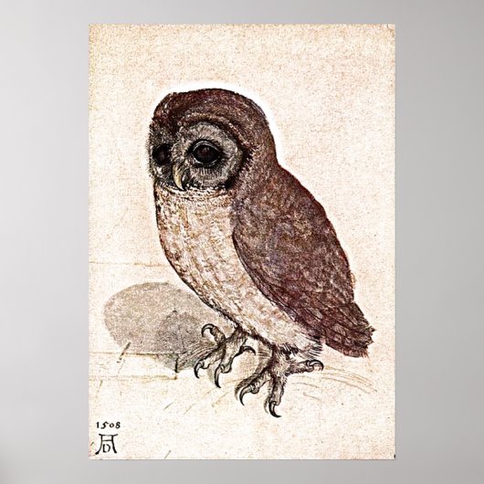 500歳のスケッチ ポスター (正面)