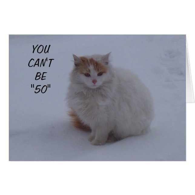「50」ではなく「ニャー」に見えると言います (正面横)