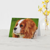 **50**のユーモア感じの誕生日 カード (黄色い花)