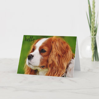 **50**のユーモア感じの誕生日 カード