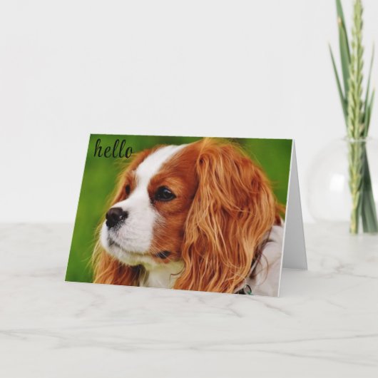 **50**のユーモア感じの誕生日 カード (正面)