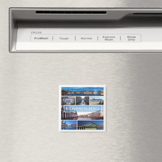 50 マグネット (インサイチュ (食洗機))