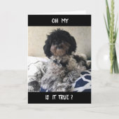 **50**素晴らし見ろ！ハッピーバースデー カード (正面)