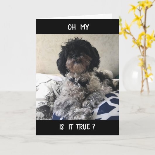 **50**素晴らし見ろ！ハッピーバースデー カード (黄色い花)