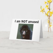 **50?** 49歳を超える日は見えませんか??誕生日 カード (黄色い花)