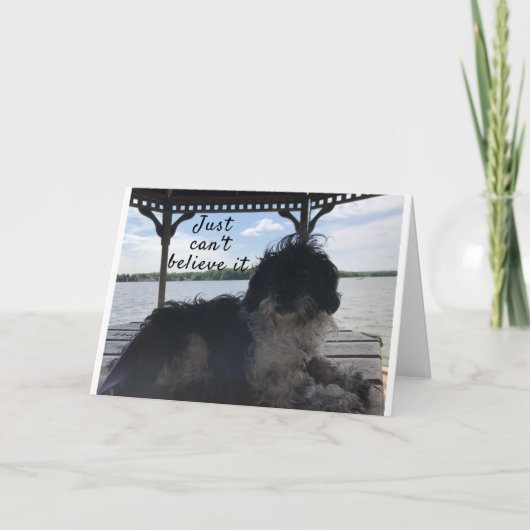 **50** ITの感じ誕生日ユーモア・カード カード (正面)