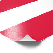 50 Star Flag United States of America フォトプリント (角)