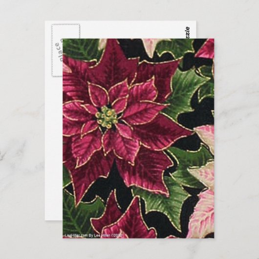 50sポインセチアのバーガンディのレトロピンク ポストカード (正面/裏面)