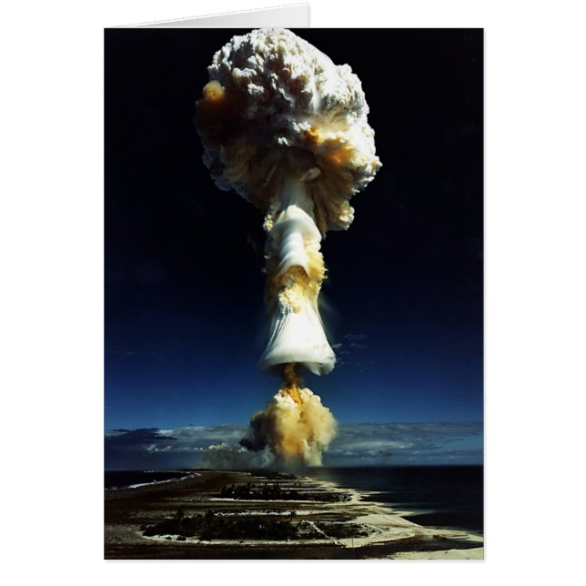 511234695_c69bff71e9_b (正面)