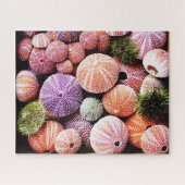 520ピースシーウルチンパズル ジグソーパズル (横)