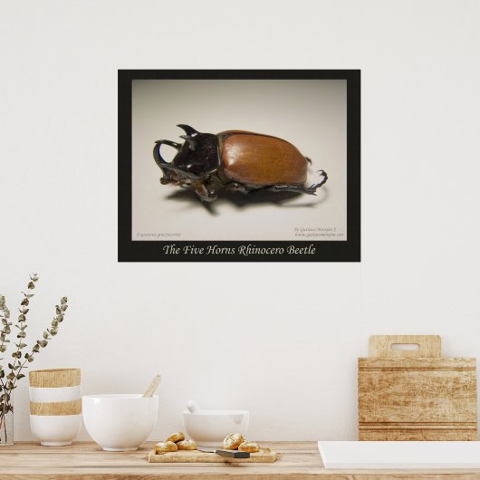 52.サイの角 ポスター (キッチン)