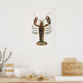 52 53アメリカロブスター(Homarus americanus) ポスター (キッチン)