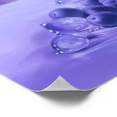 532静物 ポスター (角)