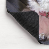 5328-メリーアンナ・ザ・パピジャックドッグ マウスパッド (コーナー)